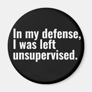Till mitt försvar lämnades jag oövervakad lustig t magnet