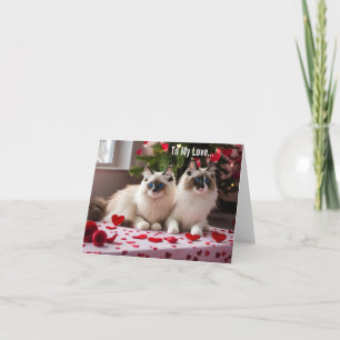 Till mitt Kärlek - Kat Valentine eller julkort Kort