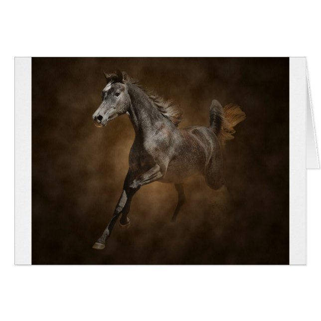 Till och med damma av hälsningskort (Framsidan Horizontal)