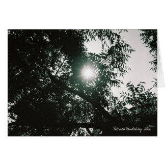 Till och med det tittar exponeringsglaset OBS kort