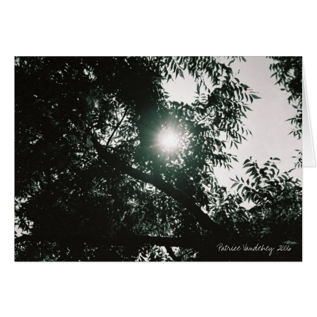 Till och med det tittar exponeringsglaset OBS kort (Framsidan Horizontal)