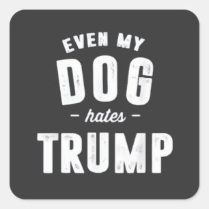 Till och med mina Hund använder Trump Anti Humor Fyrkantigt Klistermärke