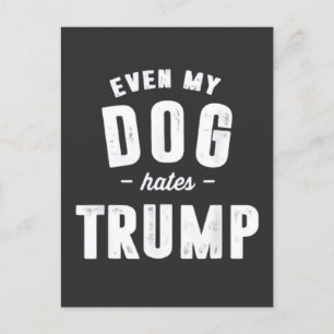 Till och med mina Hund använder Trump Anti Humor Inbjudan Vykort