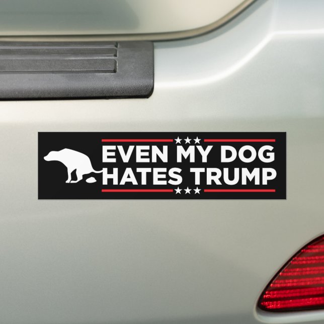 Till och med mina Hund Hates Trump Anti-Trump Bildekal (På Bil)