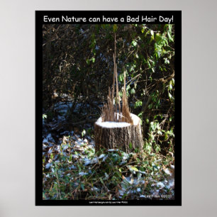"Till och med naturen kan ha en dålig hårdag!" Skr Poster