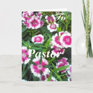 Till pastor, kvinna kort