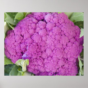 Till salu purpurfärgad blomkål poster