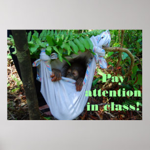 Till skogen för Orangutaskolan Poster