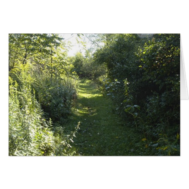 Till Skogen OBS Kort (Framsidan Horizontal)