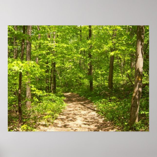 Till skogen poster (Framsidan)