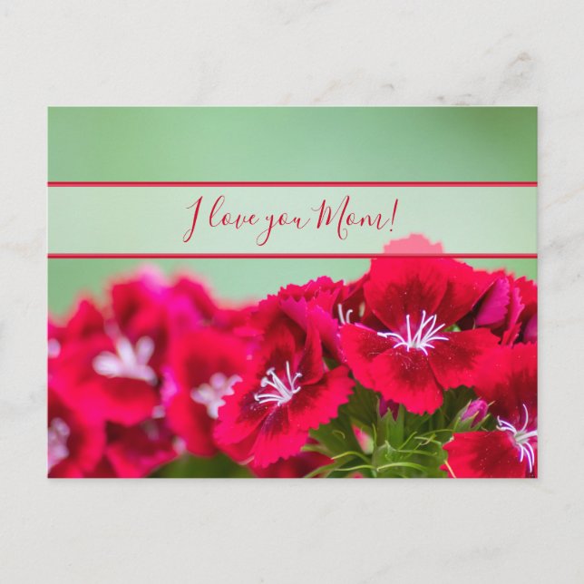 Till världens bästa mamma på mors dag! vykort (Framsida)