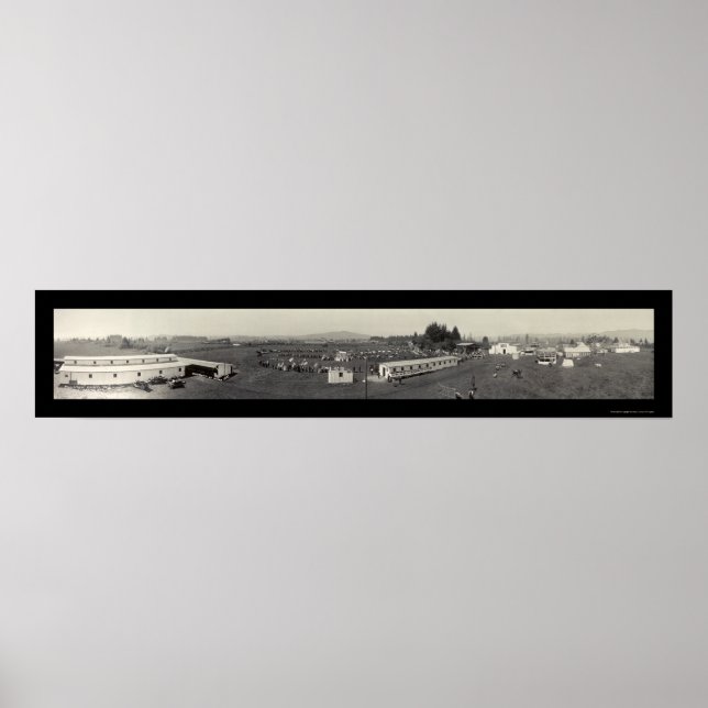 Tillamook County Fair Photo 1915 Poster (Framsidan)