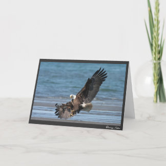 Tillåtelse att landa kort