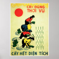 Tillåter Grow Ris Vietnam Farm Agriculture Propaga
