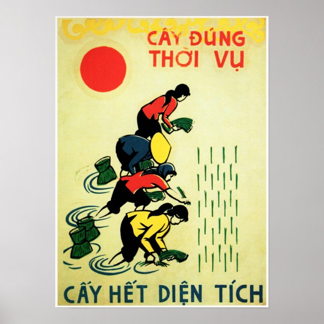 Tillåter Grow Ris Vietnam Farm Agriculture Propaga Poster (Framsidan)