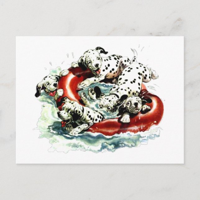 tillåter simma vykort (Framsida)