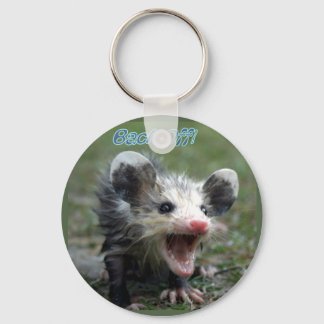 Tillbaka av nyckelring