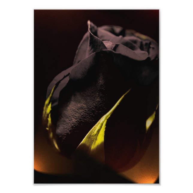 Tillbaka Fototryck (Framsidan)