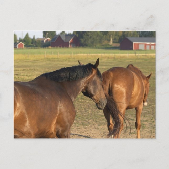 Tillbaka till Barn Vykort (Framsida)