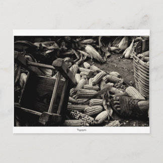 TILLBAKA TILL BASIC-vykort Vykort