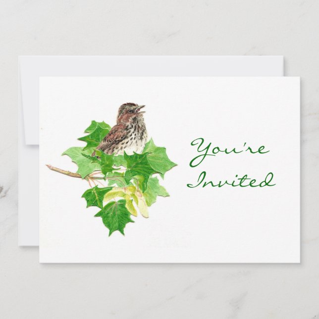 Tillbaka till natur, Sparrow, Bird, Wilderness Inbjudningar (Framsida)