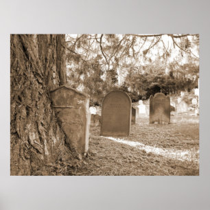 Tillbaka till naturen - Gravestones och Träd Poster