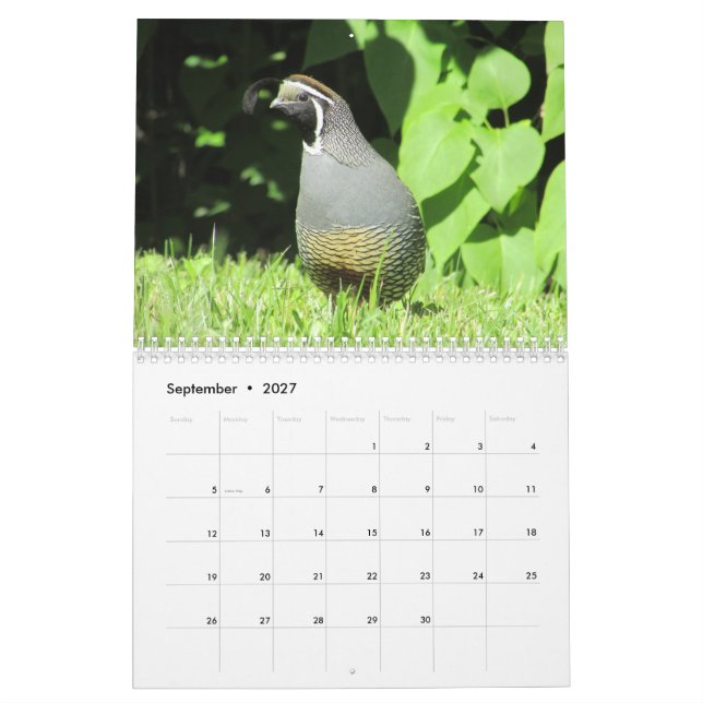 Tillbaka Yard Birds!  Fågelvaktare KALENDERA Kalender (Sep 2027)