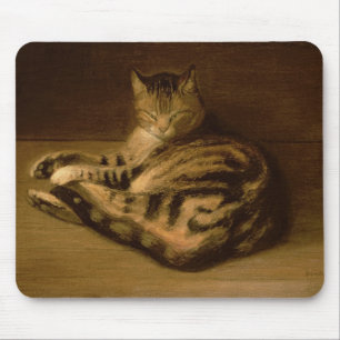 Tillbakalutad katt, 1898 musmatta