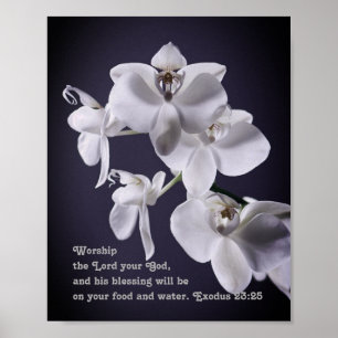 "Tillbe den Prophetic utflyttning23:25 för Lord Poster