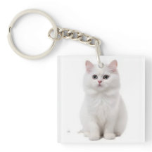Tillbehör för elegant och Kattdjur