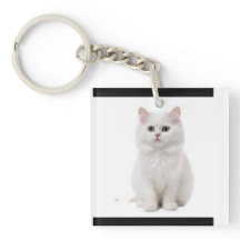 Tillbehör för elegant och Kattdjur