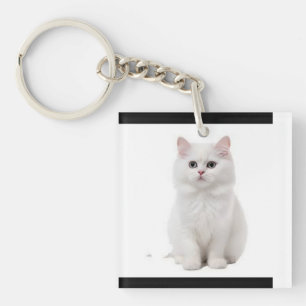 Tillbehör för elegant och Kattdjur