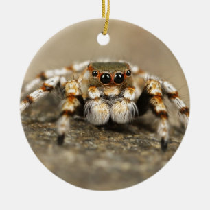 Tillbehör till Tarantula Jumping Bird Spider fanta Julgransprydnad Keramik