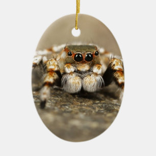 Tillbehör till Tarantula Jumping Bird Spider fanta Julgransprydnad Keramik