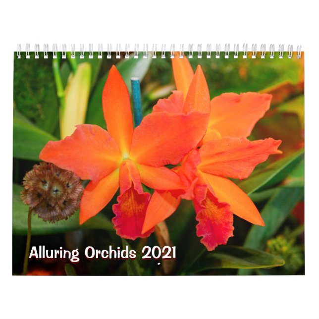 Tilldela Orchids 2021-kalender Kalender (Omslag)