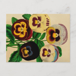 Tilldelade paneler Vintage Teckning vykort