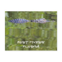 Tilldelningskort för fort Myers Alligator Card