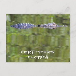 Tilldelningskort för fort Myers Alligator Card Vykort