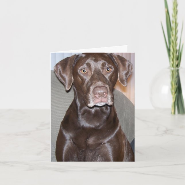 Tillfälle-gratulationskort för Anpassade Kort (Framsida)