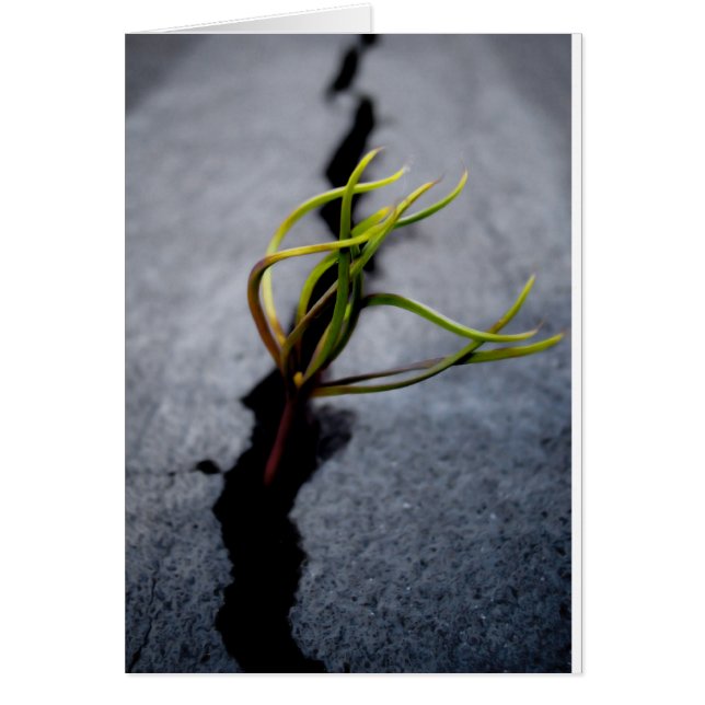 Tillfälle Hälsningskort (Framsidan)