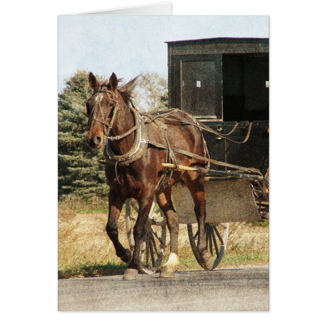 Tillfällen Amish Horse och Buggy Hälsningskort (Framsidan)