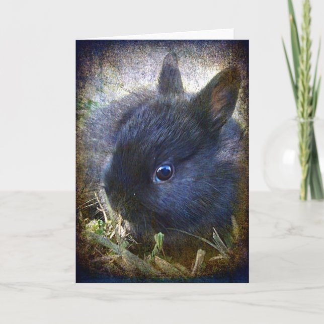 Tillfällen Baby Lionhead Bunny Kort (Framsida)
