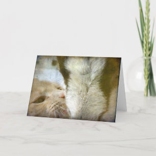 Tillfällen Bästa vänner Kat och Goat Kort
