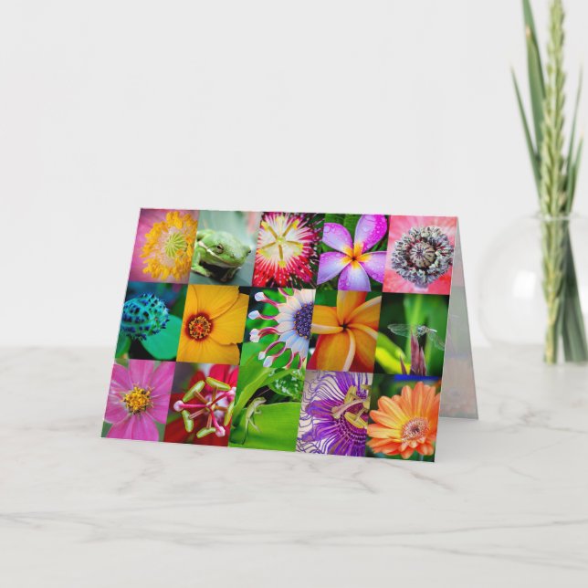 Tillfällen Blanka Blommigt för blomningskoder, Gar Helgkort (Framsida)