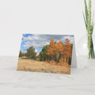 Tillfällen Colorado Autumn Aspen Träd Kort