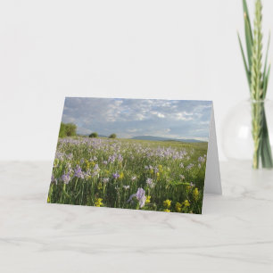 Tillfällen Colorado Mountain Wildblommor Kort
