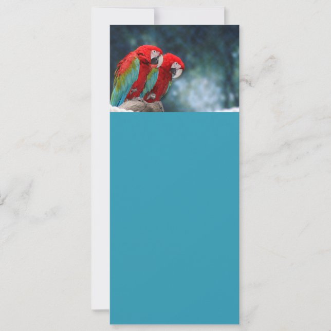 Tillfällen Färgfyllda delar (Framsida)