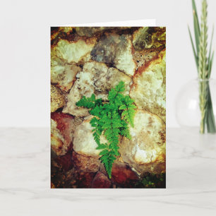 Tillfällen Fern och Geodes Kort