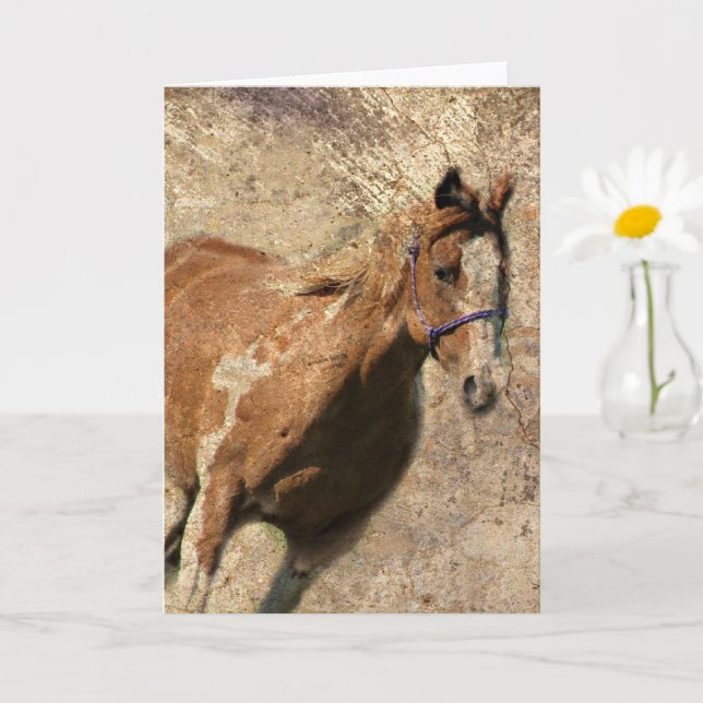 Tillfällen Flashy Vintage Grunge Kort (Liten växt)