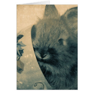 Tillfällen för gammaldags Bunny-foto Hälsningskort